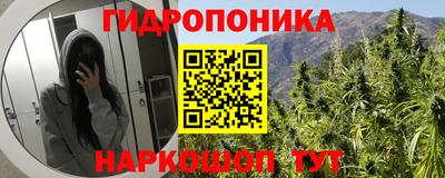 не бодяженный Гай