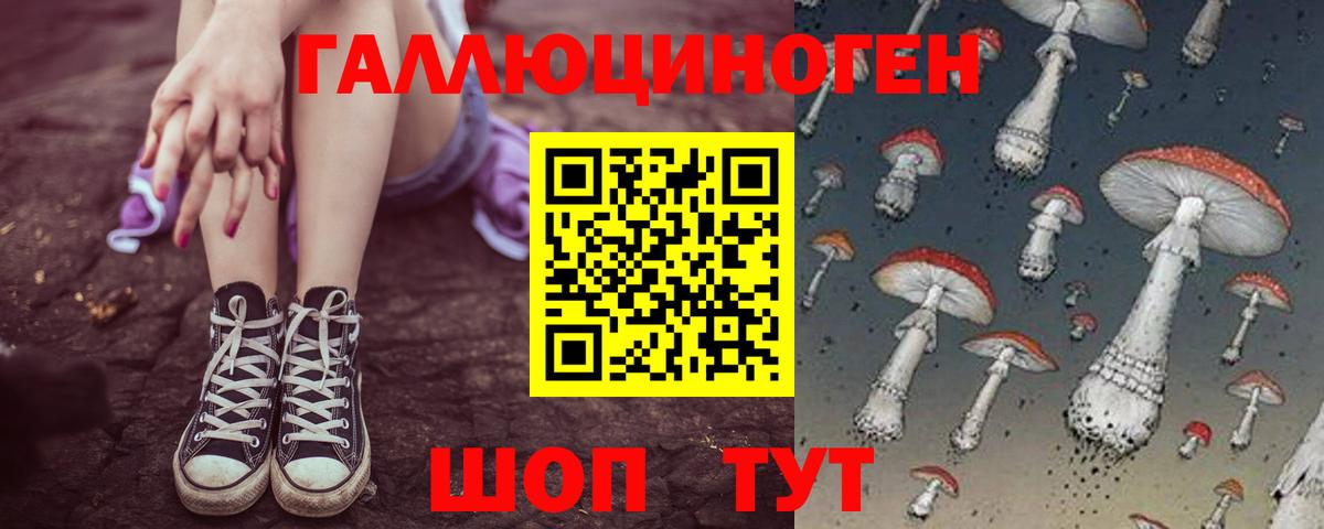 Гулькевичи  Псилоцибиновые грибы Magic Shrooms  Вход с VPN 